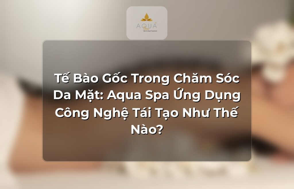 Tế Bào Gốc Trong Chăm Sóc Da Mặt: Aqua Spa Ứng Dụng Công Nghệ Tái Tạo Như Thế Nào?